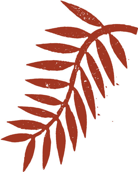 LEAF